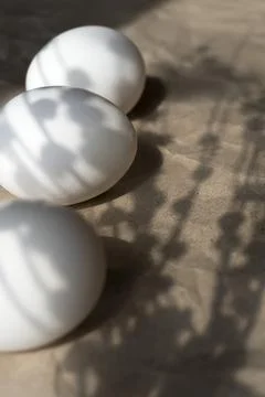 White eggs are on the table Stock Photos