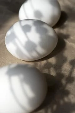 White eggs are on the table Stock Photos