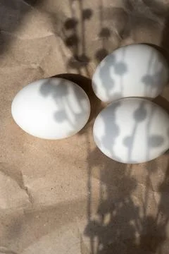 White eggs are on the table Stock Photos