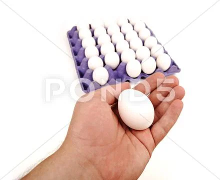 White eggs in the box isolated and human hand holding one Stock Photos