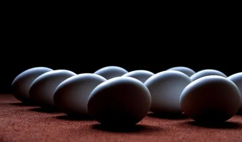 White eggs on a brown background Stock Photos