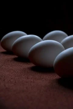 White eggs on a brown background Stock Photos