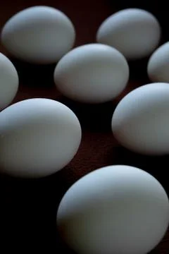 White eggs on a brown background Stock Photos
