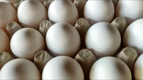 White eggs - camera slide above. Fresh chicken raw eggs in rows. Close up Stock Footage 272192740
