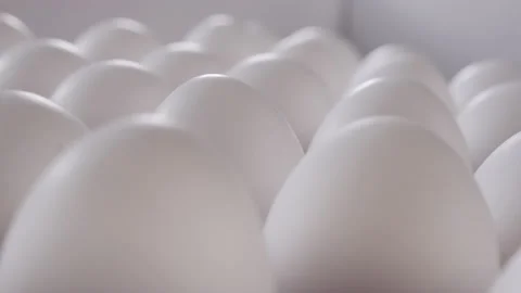 White eggs in a cardboard box - camera slide. Video stock 172457362