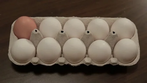 White eggs in carton cell one by one turn into brown eggs. Animation Stock Footage 83793322
