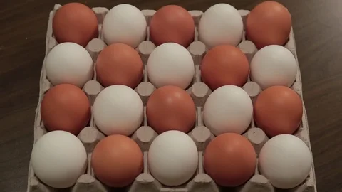White eggs in carton cell turn into brown eggs. Brown eggs  turn into white eggs Video stock 84560992