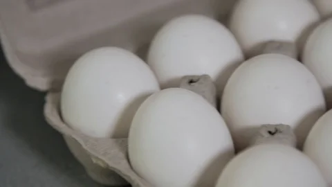 White Eggs in Carton Stock Footage 124443895