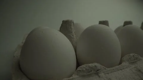 White eggs in the cell. Super MACRO shot. Slow panorama. White surface and Stock Footage 130234701