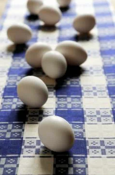 White eggs on a checked tea towel Stock Photos