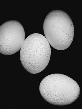 White Eggs Close Up Texture Black Background Minimal Composition Foto stock