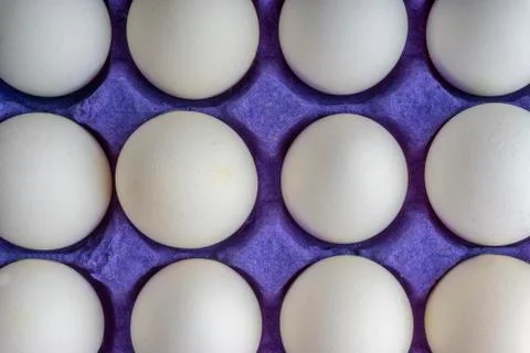 White eggs closeup in egg tray with selective focus and crop fragment Fotos Stock