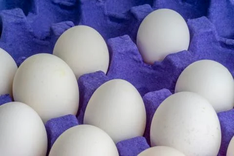White eggs closeup in egg tray with selective focus and crop fragment 库存照片