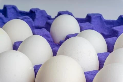 White eggs closeup in egg tray with selective focus and crop fragment Stock-Fotos