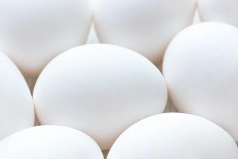 White eggs closeup with selective focus, fresh Stock Photos
