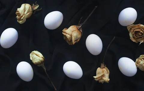 White eggs with dry roses Stock Photos