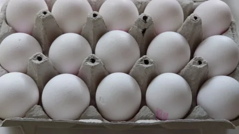 White eggs in an egg box4K Stock Footage 195683675