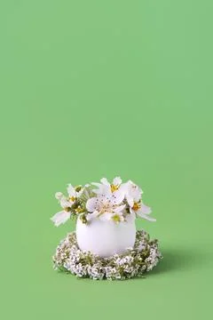 White eggs with flowers Stock Photos