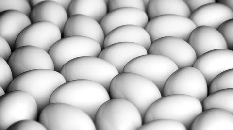 White eggs Stock Footage 48021446