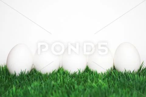 White eggs Stock Illustration