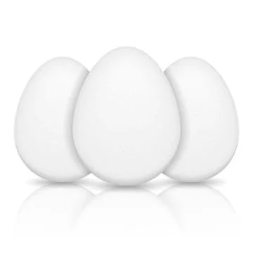 White Eggs 스톡 일러스트