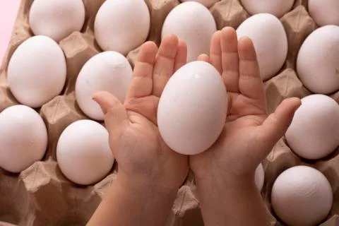 White eggs on kid hands, flat lay Stock Photos