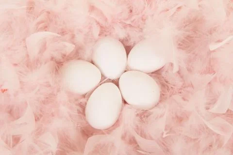 White eggs lying on pink feathers Stock Photos