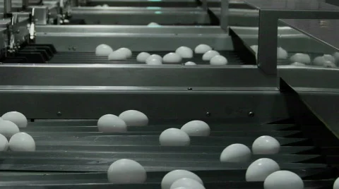 White eggs move through chutes on a factory conveyor belt. Vidéo 558013