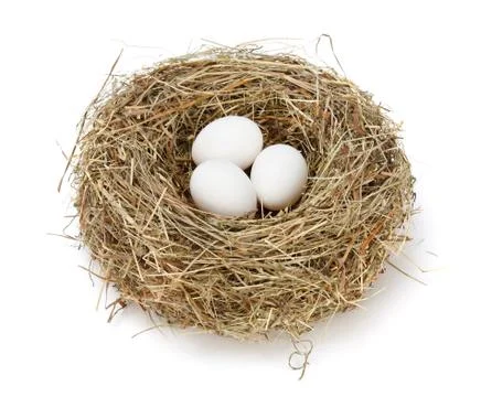 White eggs in nest Stock Photos