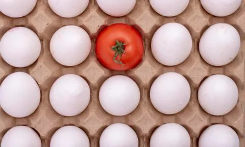 White eggs with one red tomato in center Stock Photos