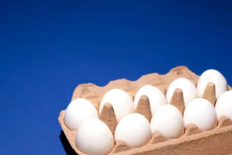 White eggs in package close-up on the right on a dark blue background Stock Photos