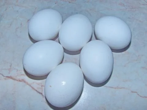 White eggs before painting. Colorful Easter eggs - part of the passover meal Foto stock