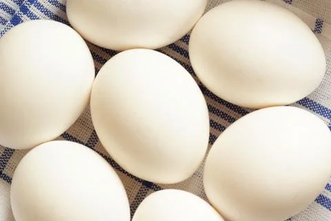 White eggs Stock Photos