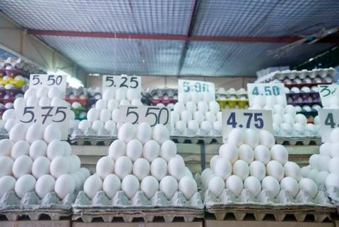 White eggs Foto stock