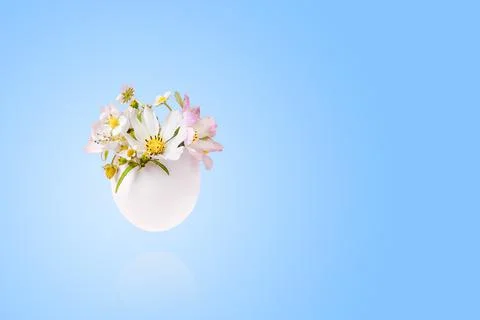 White eggs with spring flowers Stock Photos