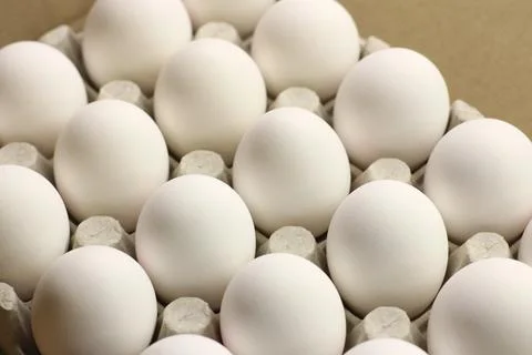 White eggs on a white background.side view Fotos de archivo