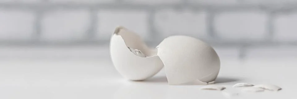 White eggshell of a broken chicken egg with shards isolated on a white back.. 库存照片
