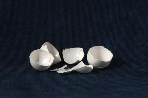 White eggshell on a dark background. Stock Photos