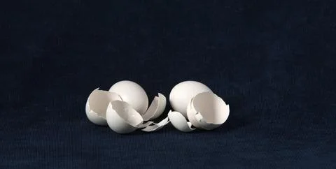 White eggshell on a dark background. Stock Photos