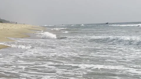 White egrets on sandy tropical beach with ocean waves 库存影片 323798677