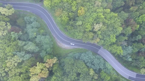 White electric car driving autonomously through green forest on winding road 库存影片 339675787
