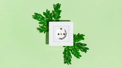 White electrical power socket and green leaves on green pastel background. Stock Photos