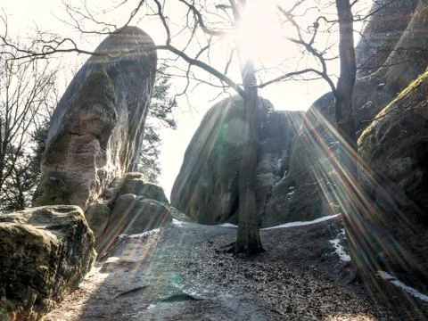 White Elephant Rocks in backlight Stock Photos