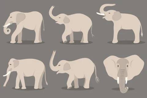 White elephant set Illustrazione stock