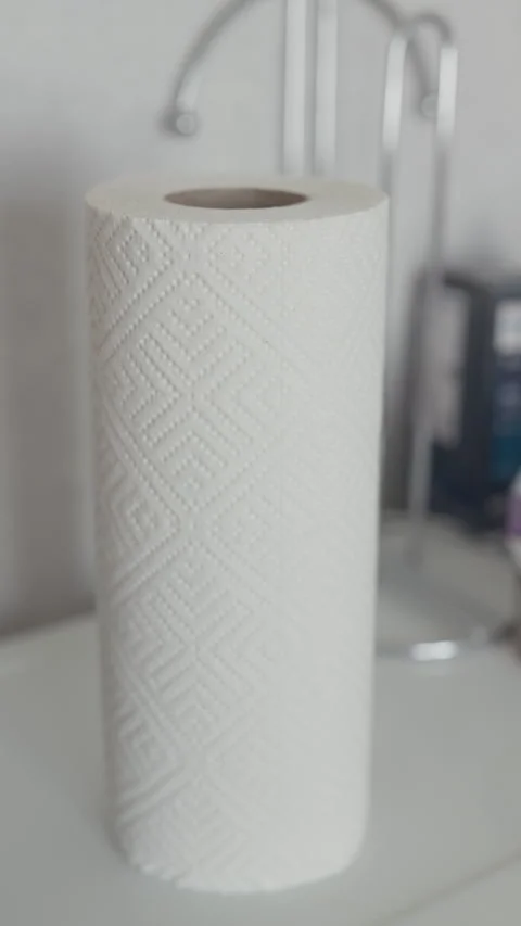 White embossed paper towel roll standing beside blurred bathroom holder in soft Stock Footage 344824104