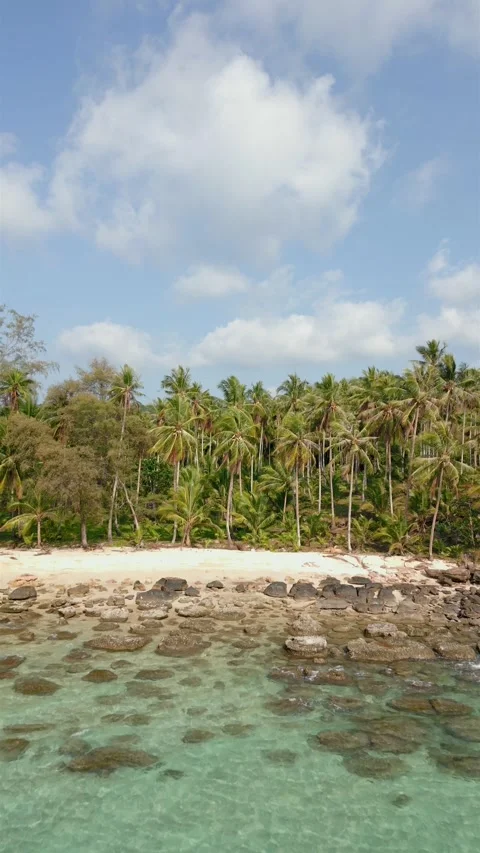 A white, empty beach, crystal clear water, and coconut palm trees on an island. Stock-Footage 241701286