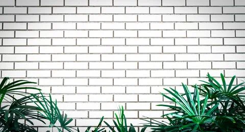 White empty frame of white brick wall decorate with green leaves at the bot.. Stock Photos