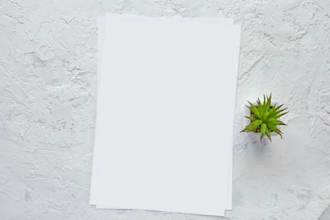 White empty paper and space for text. Mockup 写真素材