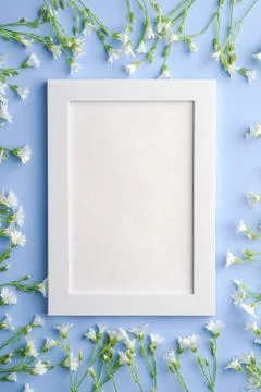 White empty photo frame mockup with mouse-ear chickweed flowers Stock Photos