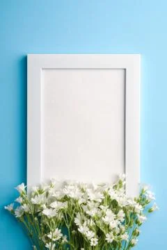 White empty photo frame mockup with mouse-ear chickweed flowers Stock Photos